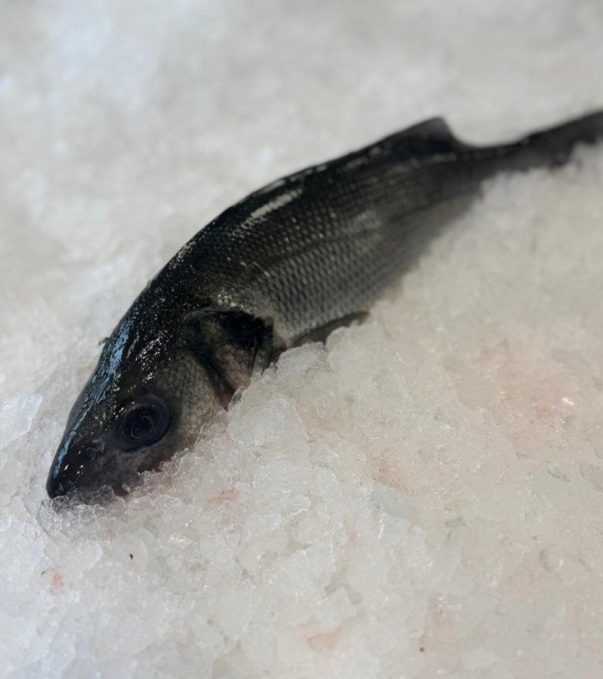 Comprar Lubina gallega a domicilio por internet Mar Gourmet