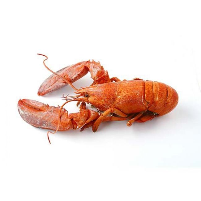 cocinar marisco como cocinar marisco como