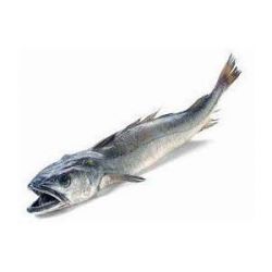 Merluza de Pincho de 2 a 3 kg | MAR GOURMET BURELA, . Merluza de Pincho de 2 a 3 kg | MAR GOURMET BURELA, .